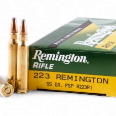 Remington - .223REM 55Gr. PSP 20rds.