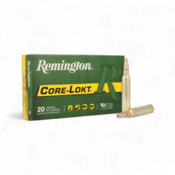 Remington - 300 WIN MAG 180GR PTD SP
